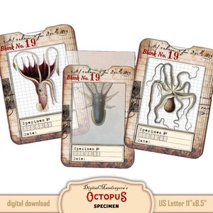 Octopus and sepia specimen slides with tray, vintage sepia and octopus cards for journaling, octopus on vellum, instant digital download