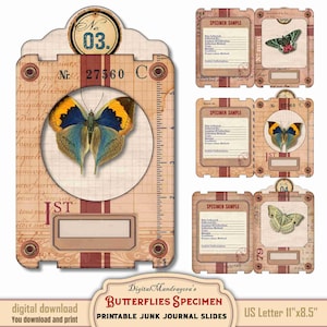 Butterflies specimen slides kit for nature junk journal making, Insects entomology ephemera scrapbook supplies, Scrap Clusters, Cards