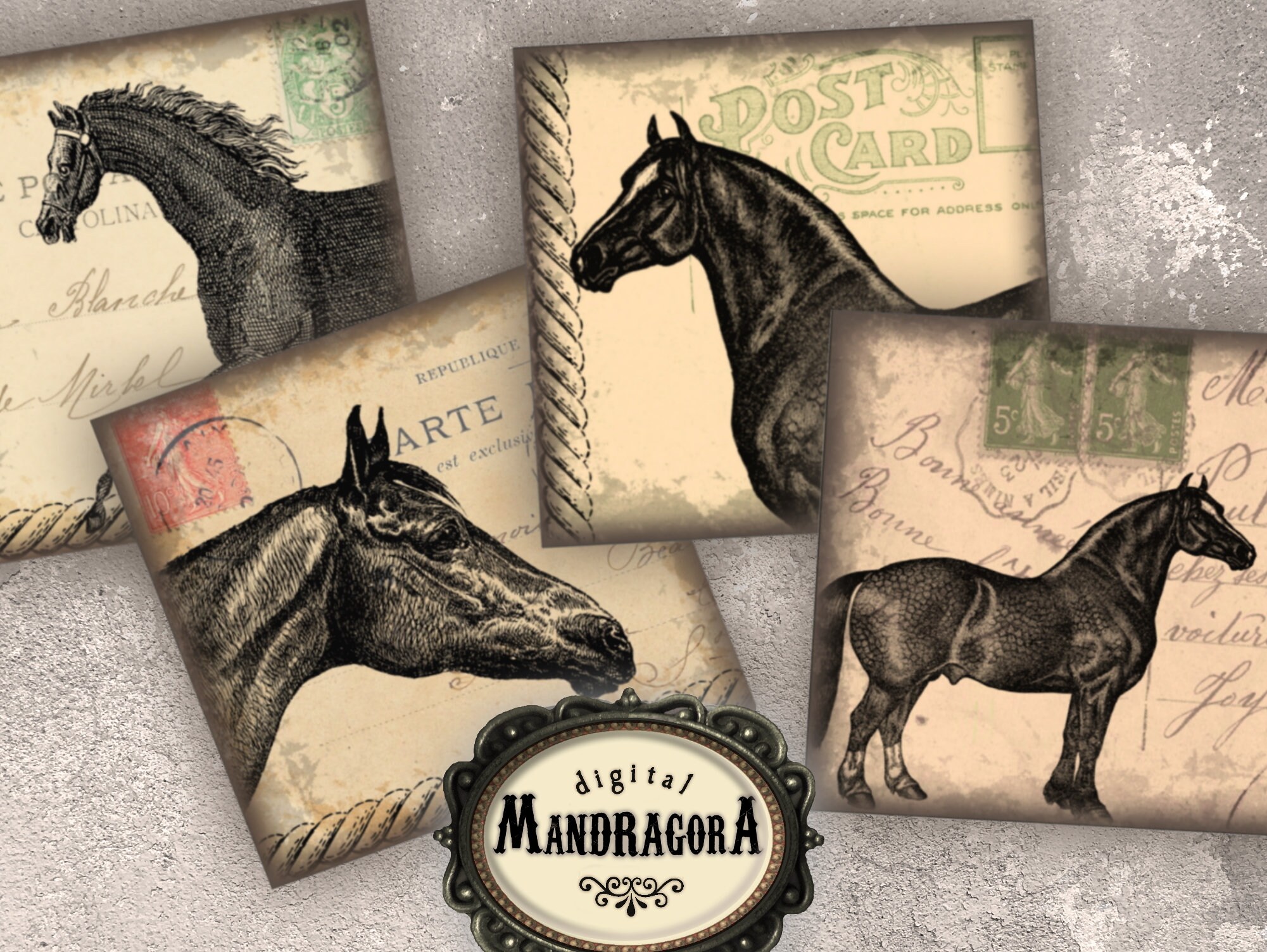 Horses postcards 4x4 each printable digital download Etsy