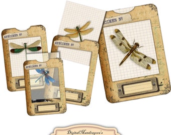 Dragonfly specimen slides with frames, vintage dragonfly cards for journaling, dragonflies on vellum, dragonfly, instant digital download