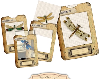 Dragonfly specimen slides with frames, vintage dragonfly cards for journaling, dragonflies on vellum, dragonfly, instant digital download