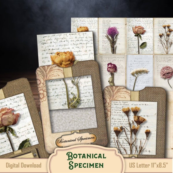 Botanical specimen dried flowers slides with tray, floral scrapbooking cards, floral junk journal embellishments, instant download