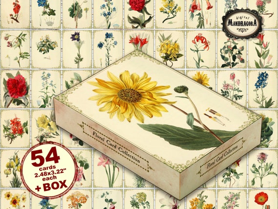 Vintage Floral Card Collection with Box: Scrapbooking, Junk Journal (Digital Download)