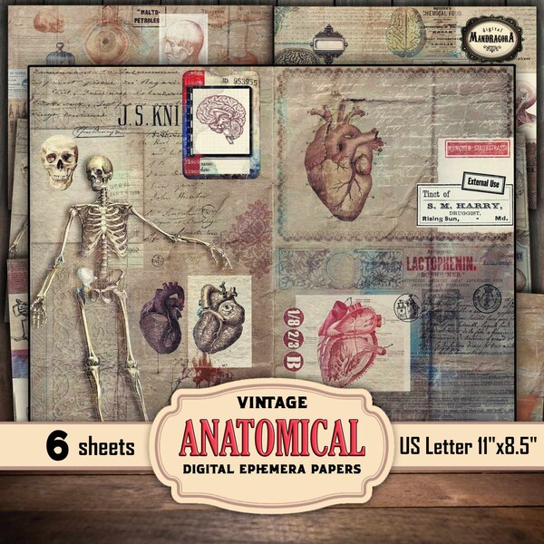 Grunge Distressed Anatomical Medical Ephemera collage Digital Paper Pack - Perfect for Scrapbooking, Junk Journaling and Card Making