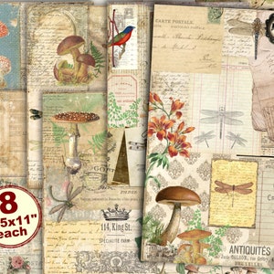 Puede incluir: Un conjunto de ocho hojas de papel digital con un estilo vintage que incluye setas, libélulas, flores y texto escrito a mano. Cada hoja mide 8,5 pulgadas por 11 pulgadas.