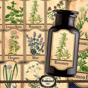 Herbal apothecary labels, herbal labels, herbs  jar labels, spice jar labels, digital scrapbooking, printable digital instant download