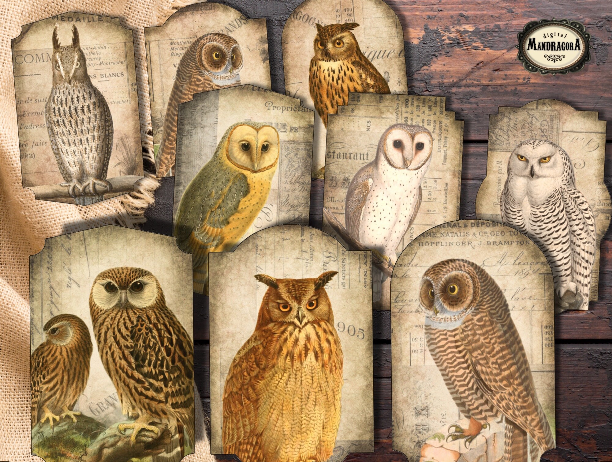 Vintage Owl Labels: Shabby Chic Stickers, Scrapbooking, Junk Journal (Digital Download)