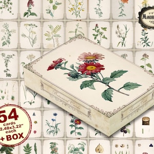 Vintage botanical card collection with box,  scrapbooking cards, junk journal cards,  vintage cards, instant digital download