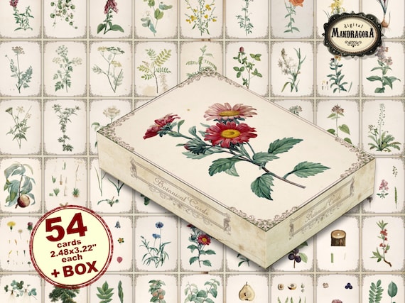 Vintage Botanical Card Collection with Box (Digital Download)