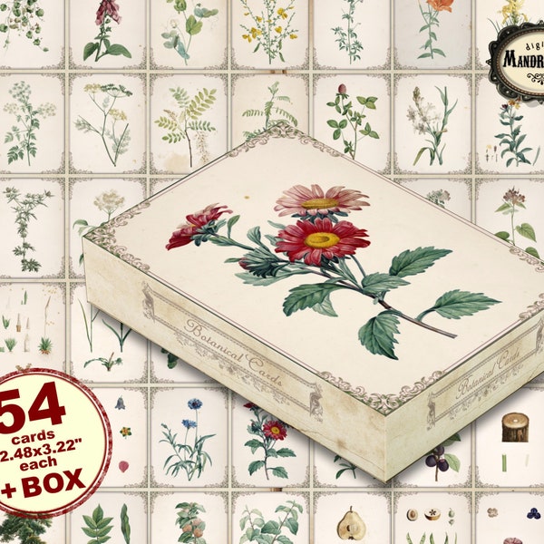 Vintage botanical card collection with box,  scrapbooking cards, junk journal cards,  vintage cards, instant digital download