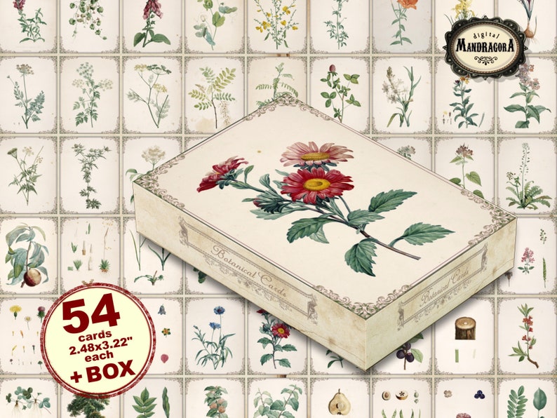 May include: A set of 54 botanical cards in a box. The cards feature illustrations of various plants and flowers. The box is white with gold accents and the text "Botanical Cards" printed on the front. Each card measures 2.48 x 3.22 inches.