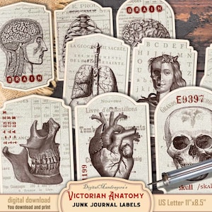 Vintage medical anatomy labels pharmacy anatomy stickers fussy cuts die cuts scrapbooking labels junk journal labels  digital download