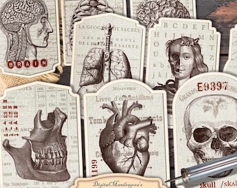 Vintage Anatomy Labels: Medical Stickers, Scrapbooking Ephemera (Digital Download)