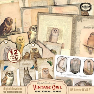 Vintage Owl Junk Journal Papers with Cards, Tags Journal Pockets, Antique Embellishments, Foldable Journal Collage Pages, Instant download