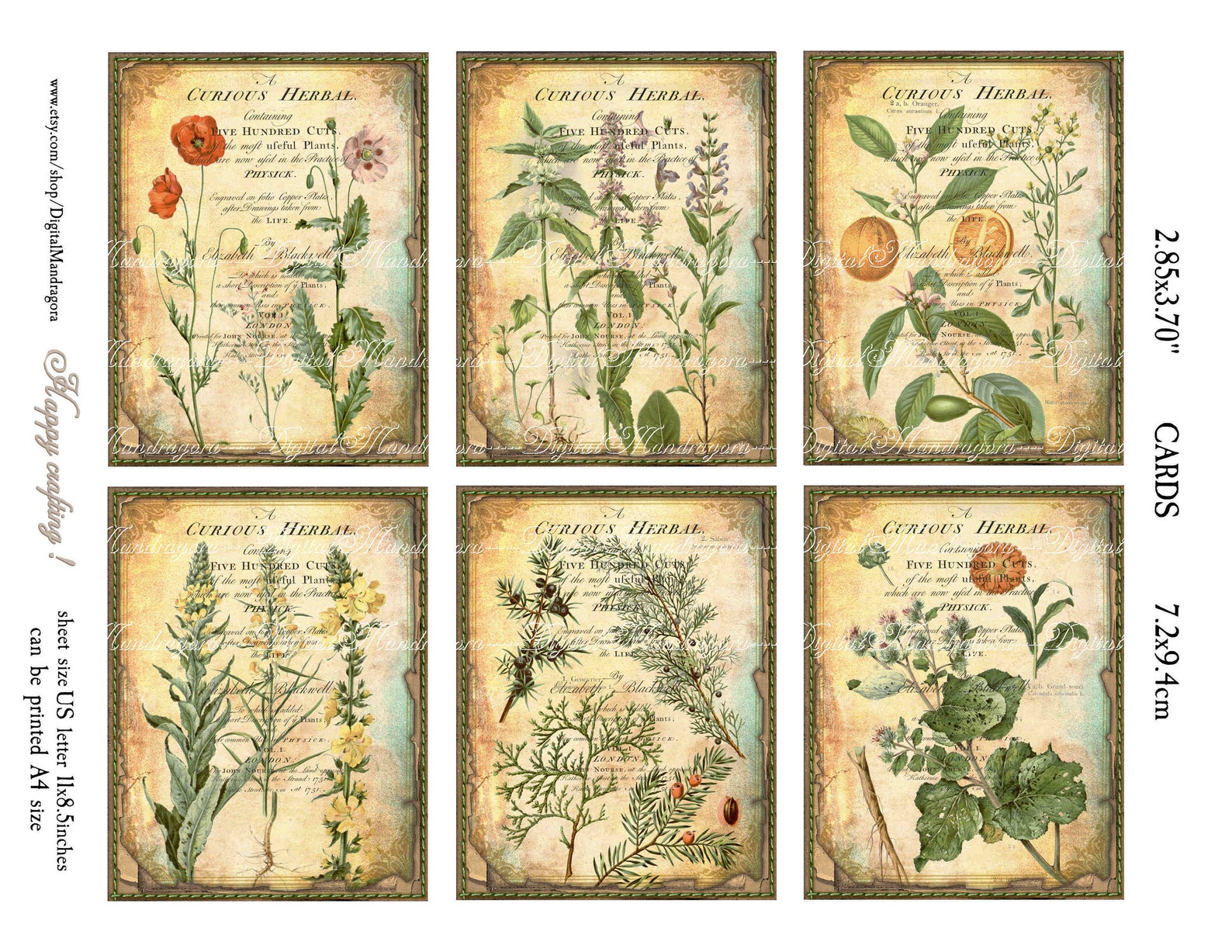 Curious Botanical Cards 2.85x3.7 Each Vintage Ephemera - Etsy