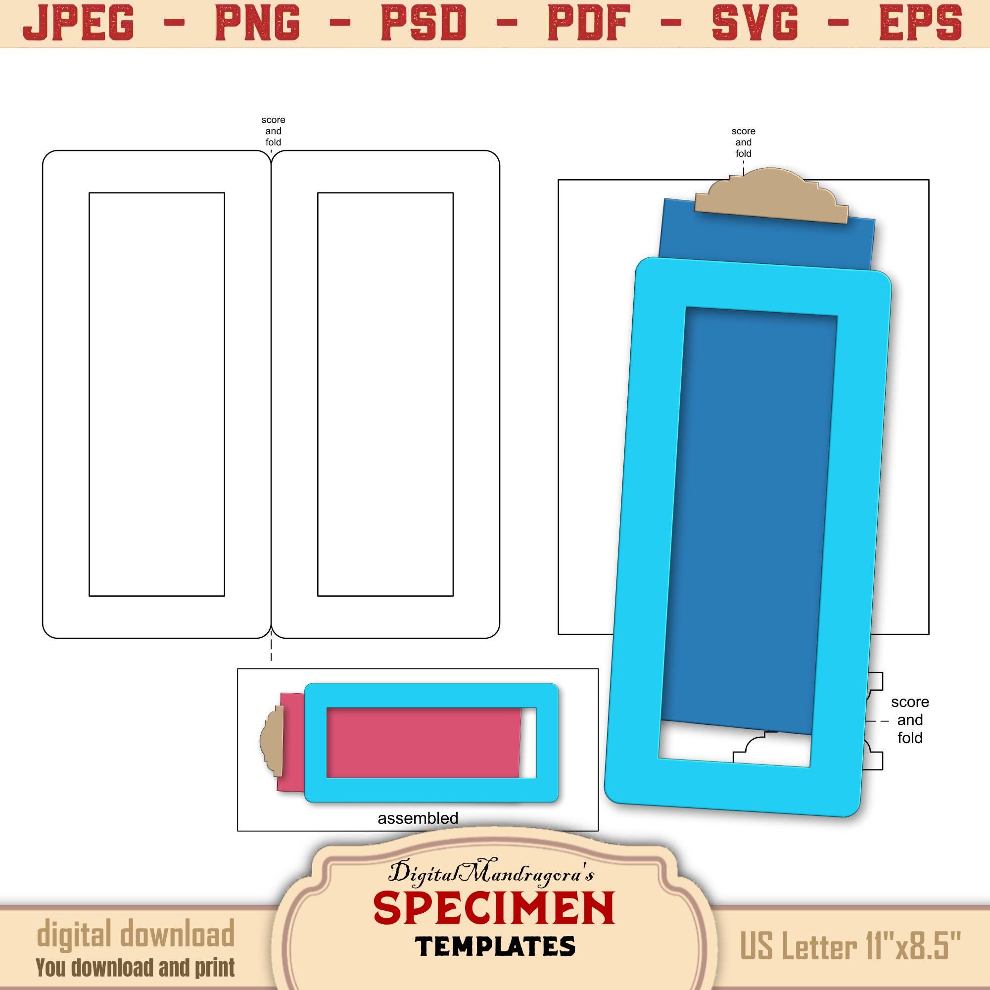 Specimen Frame Templates | Junk Journal Ephemera Kit | SVG Cut Files ...