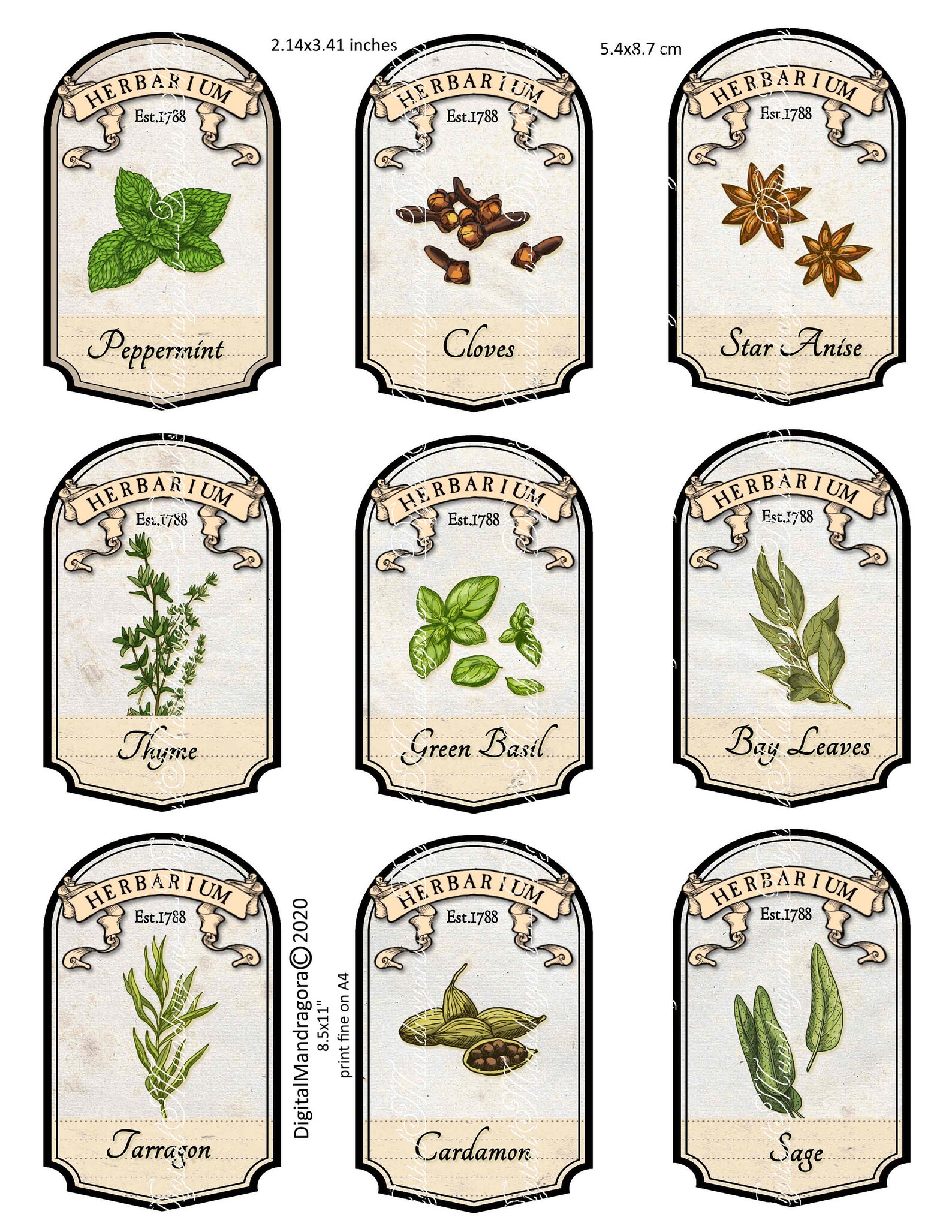 36x herbal apothecary labels herb labels herbs spices | Etsy