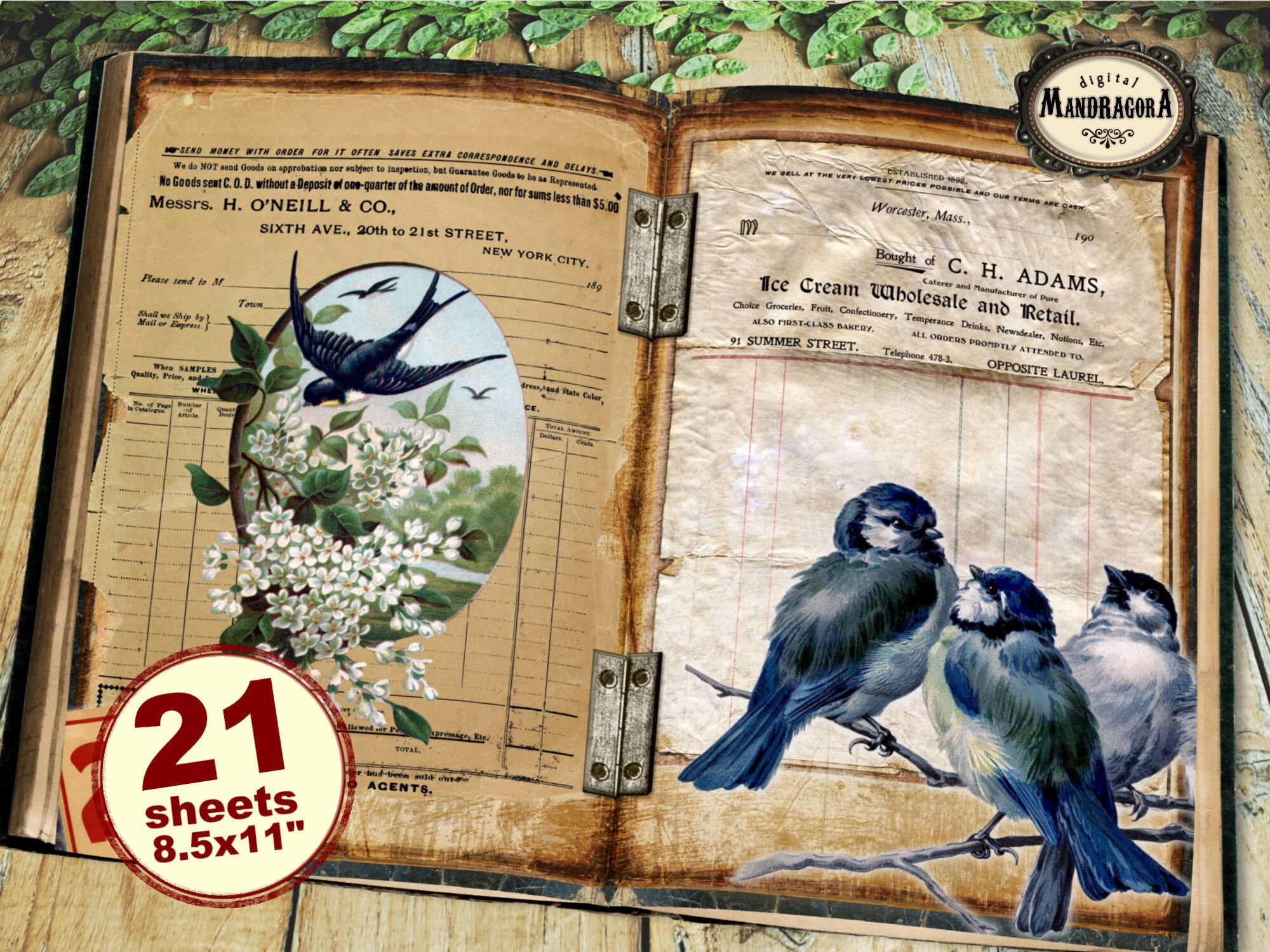 Uncover Hidden Birds: The Journal Every Birder Needs - orc8fhc