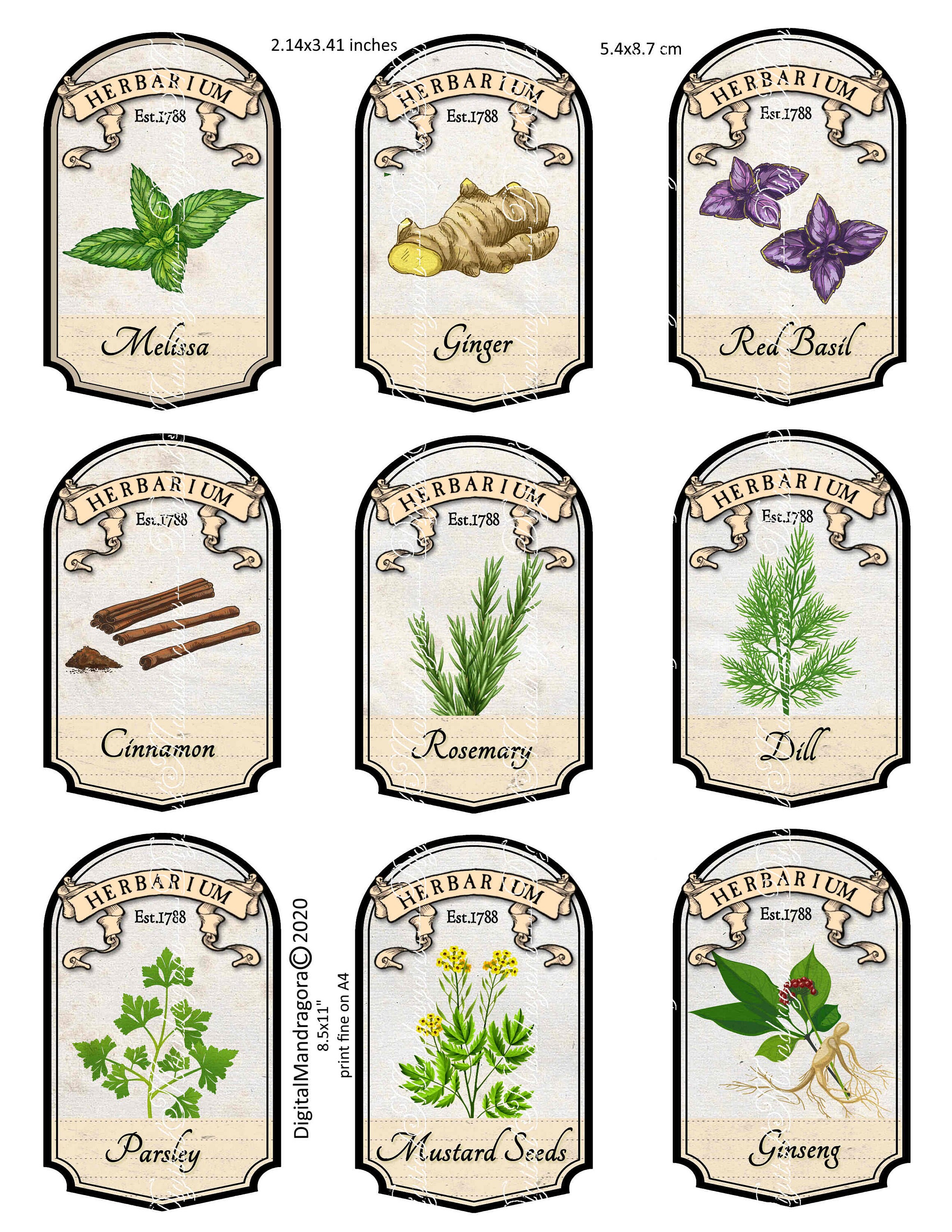 Herbal apothecary labels herb labels herbs spices pharmacy Etsy