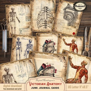 Anatomy cards, vintage medical cards on burnt paper, vintage anatomy prints, junk journal embellishments, instant digital download