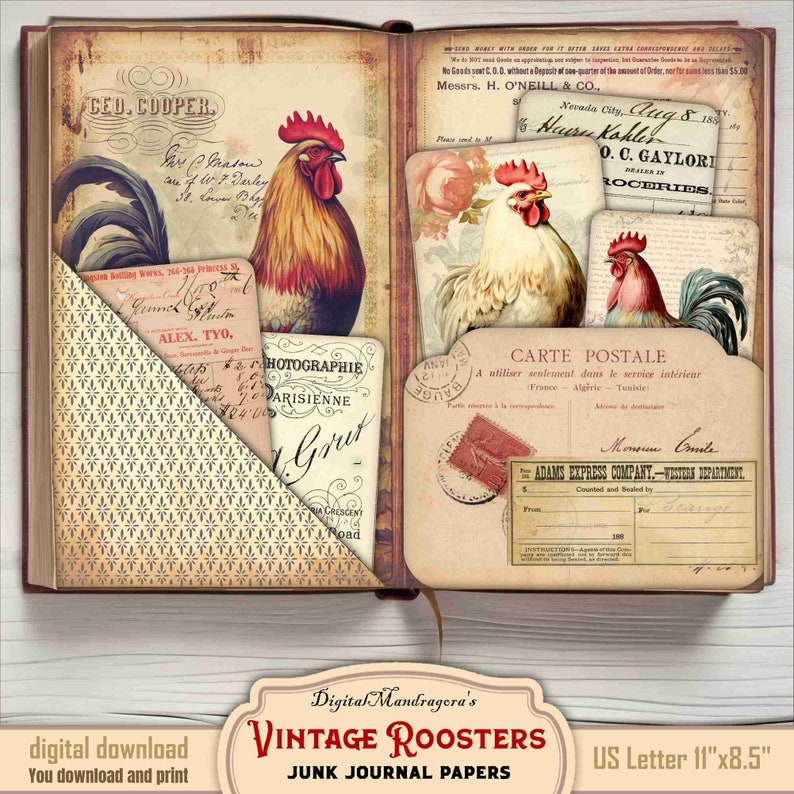 K&ouml;nnte beinhalten: Vintage-Junk-Journal-Papiere im US-Letter-Format (28 cm x 21,6 cm) mit H&auml;hnen-Motiv. Die Papiere zeigen Illustrationen von H&auml;hnen, Vintage-Ephemera und einen gemusterten Hintergrund.