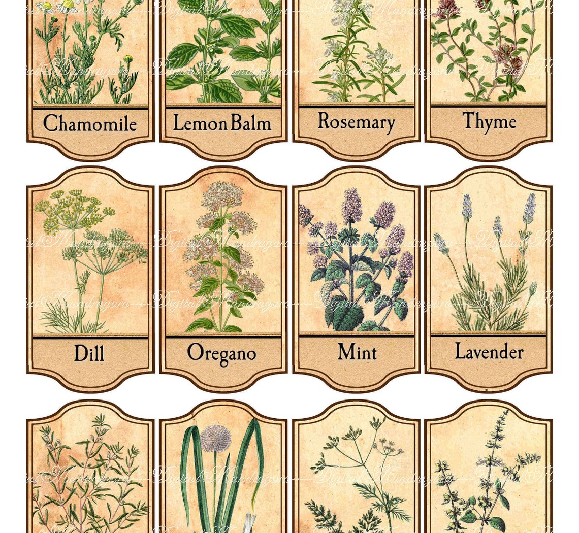 Herbal Apothecary Labels Herbal Labels Herbs Jar Labels - Etsy