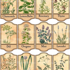 Herbal Apothecary Labels, Herbal Labels, Herbs Jar Labels, Spice Jar ...