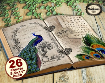Peacock junk journal kit, peacock journal pages, journal paper, scrapbook, junk journal double pages, scrapbooking, instant digital download