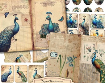 May include: A digital junk journal ephemera pack with a peacock theme. The pack includes a variety of images, including peacocks, flowers, and vintage-style text. The pack is designed for use in junk journals, scrapbooks, and other paper crafts. The pack is 11 inches by 8.5 inches.