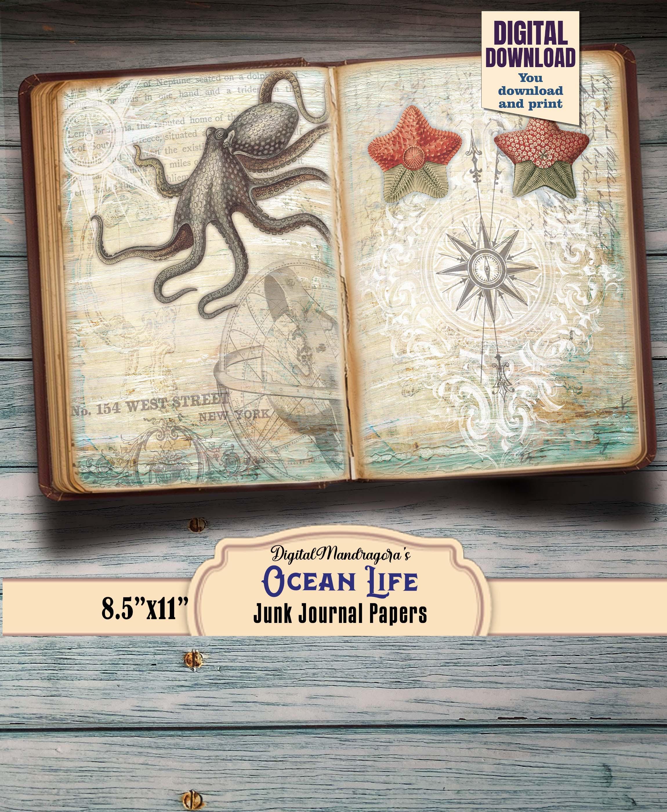 Papel marinero - Etsy México, image size:2300x2800