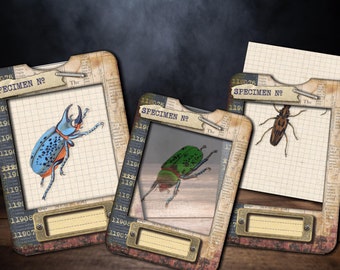 Bugs specimen slides with frames, vintage bugs cards for journaling, bugs on vellum, bugs, instant digital download