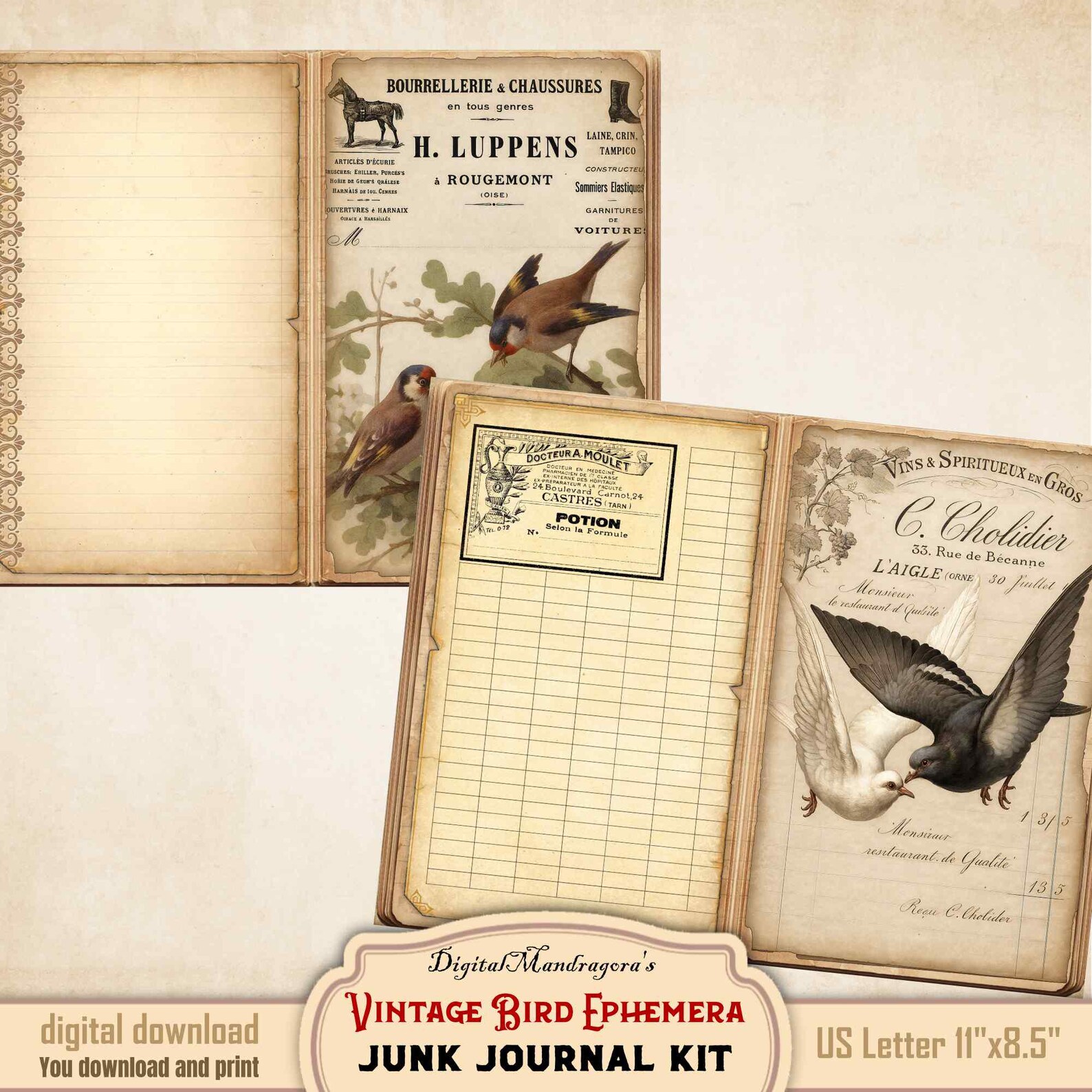 Vintage Bird Ephemera Junk Journal Kit – Printable French Invoice ...