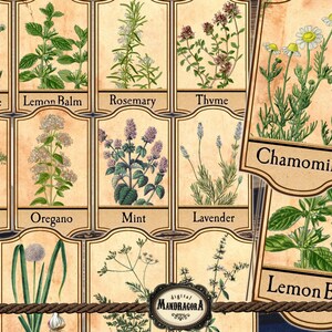 Herbal Apothecary Labels, Herbal Labels, Herbs Jar Labels, Spice Jar ...