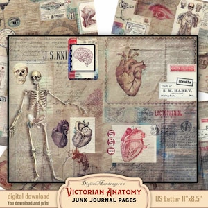 Grunge Distressed Anatomical Medical Ephemera collage Digital Paper Pack - Perfect for Scrapbooking, Junk Journaling and Card Making