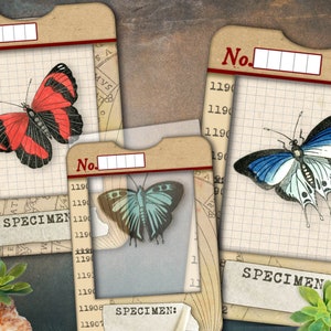 Butterflies specimen slides with frames, vintage butterfly cards for journaling, butterflies on vellum, butterfly, instant digital download