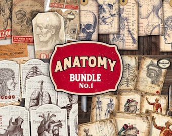 Vintage Anatomy Ephemera: Medical Stickers, Tags, Cards (Digital Download)