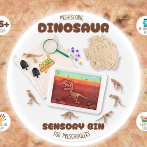 All accessories of the Dinosaur Sensory Kit, including canvas bag and plastic tray, neatly arranged.