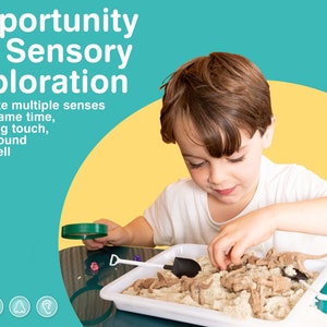 May include: A young child explores sensory play with kinetic sand, toy dinosaur skeletons, a magnifying glass, and small tools. The image includes the text "Opportunity for Sensory Exploration" and "stimulate multiple senses at the same time, including touch, sight, sound and smell."
