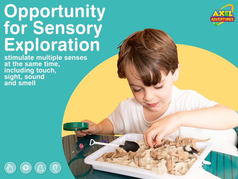 May include: A young child explores sensory play with kinetic sand, toy dinosaur skeletons, a magnifying glass, and small tools. The image includes the text "Opportunity for Sensory Exploration" and "stimulate multiple senses at the same time, including touch, sight, sound and smell."