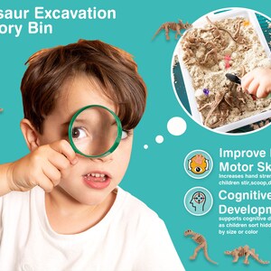 May include: A child looking through a magnifying glass at a dinosaur excavation sensory bin. The bin contains sand and toy dinosaur skeletons. Text reads "Dinosaur Excavation Sensory Bin", "Improve Fine Motor Skills", and "Cognitive Development".