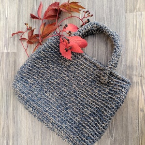 May include: A handmade, blue and beige crocheted tote bag with a sturdy handle. The bag is rectangular and has a textured appearance. Red and orange fall leaves and berries are placed on the bag and wooden surface.