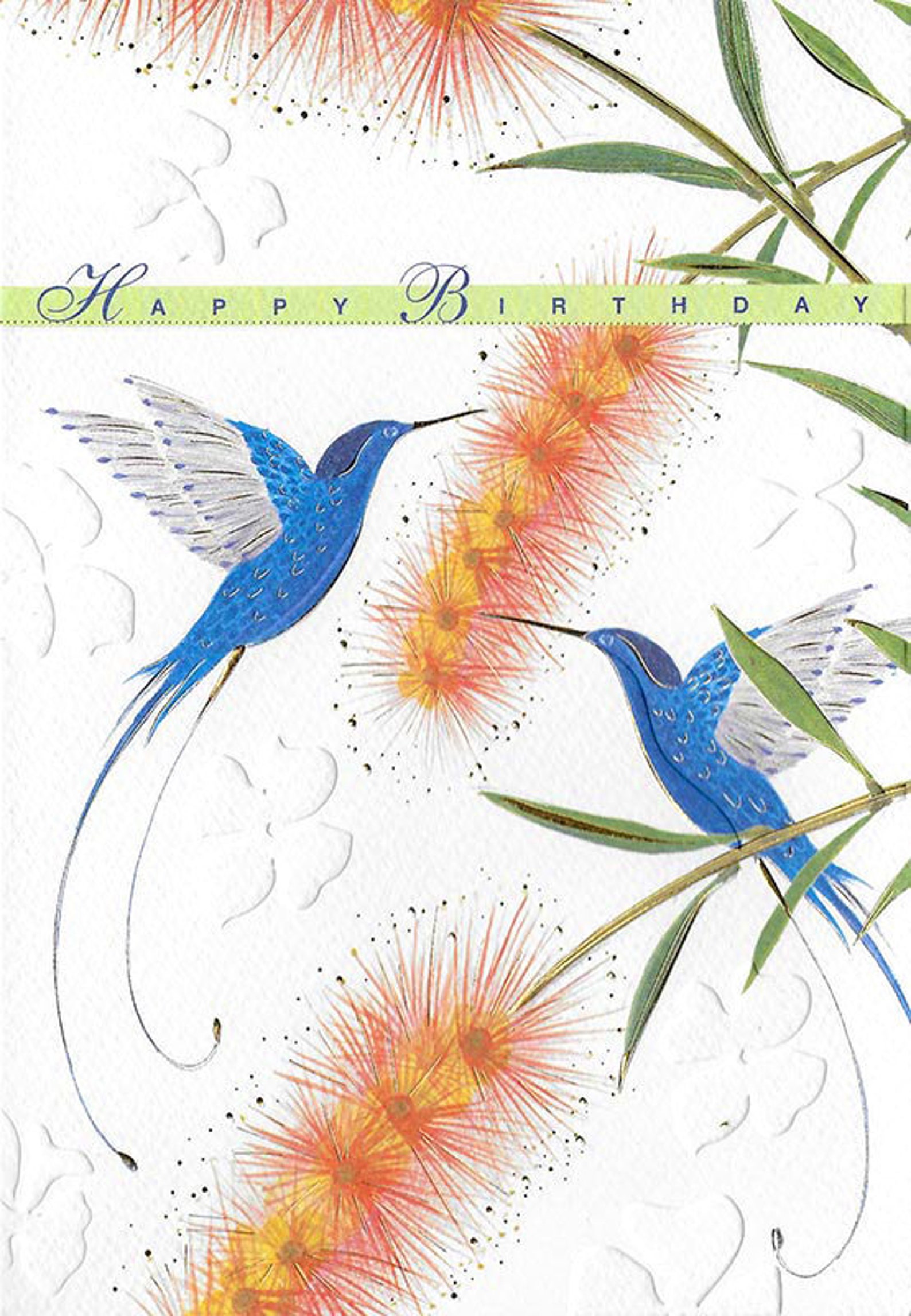 Happy Birthday Hummingbirds