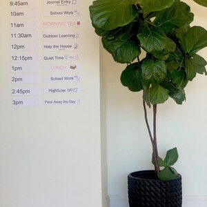 May include: A large potted Fiddle Leaf Fig plant with vibrant green leaves stands next to a wall with a printed daily schedule. The schedule includes times and activities like "Morning walk," "School Work," and "Lunch."