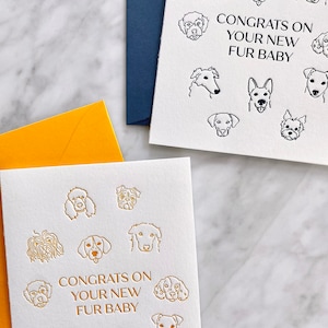Carte de vœux typographique pour bébé en fourrure | Chien, Chiot, Parent d’animal de compagnie, Félicitations, Ensemble de cartes de vœux, A2, Enveloppes