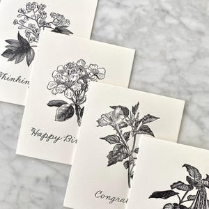 Pen Pal Club | Stationery Subscription, Letterpress, Notecards, Gift, Snail Mail bild 7