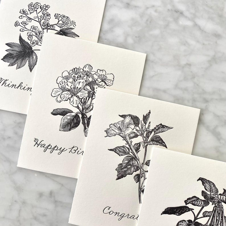 Pen Pal Club | Stationery Subscription, Letterpress, Notecards, Gift, Snail Mail bild 7