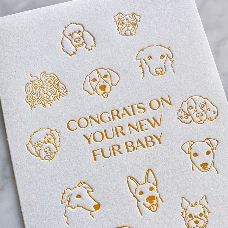 Fur Baby Letterpress Greeting Card Dog, Puppy, Pet Parent, Congratulations, Greeting Card Set, A2, Envelopes image 6