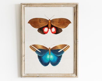 Butterfly Print, Butterfly Wall Art, Butterfly Decor, Vintage Art, Vintage Decor, Digital Download, Farmhouse Wall Decor, Rustic Decor