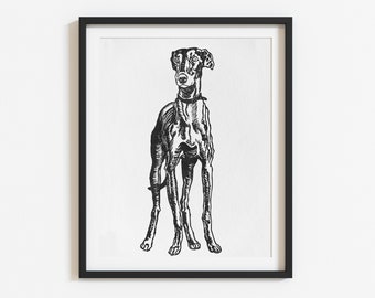 Greyhound Art, Dog Print, Greyhound Gifts, Dog Art,  Eclectic Decor, Original sketch, Black and white art, Vintage poster, Dog illustration