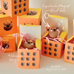 May include: Orange boxes with capybara-themed magnets. Each box features a capybara design and contains a blind box magnet. The text on the boxes reads "Capybara Magnet Blind Box", "9 Unique Designs", and "Available August 15 @ 3PM".